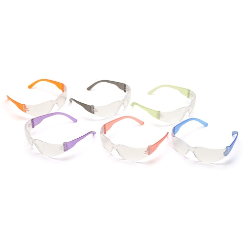 Pyramex S4110SMP Intruder Multi Pack Clear Lens/Asssorted Temple Colors