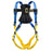Werner Blue Armor 1000 Climbing (2 D-Rings) Harness